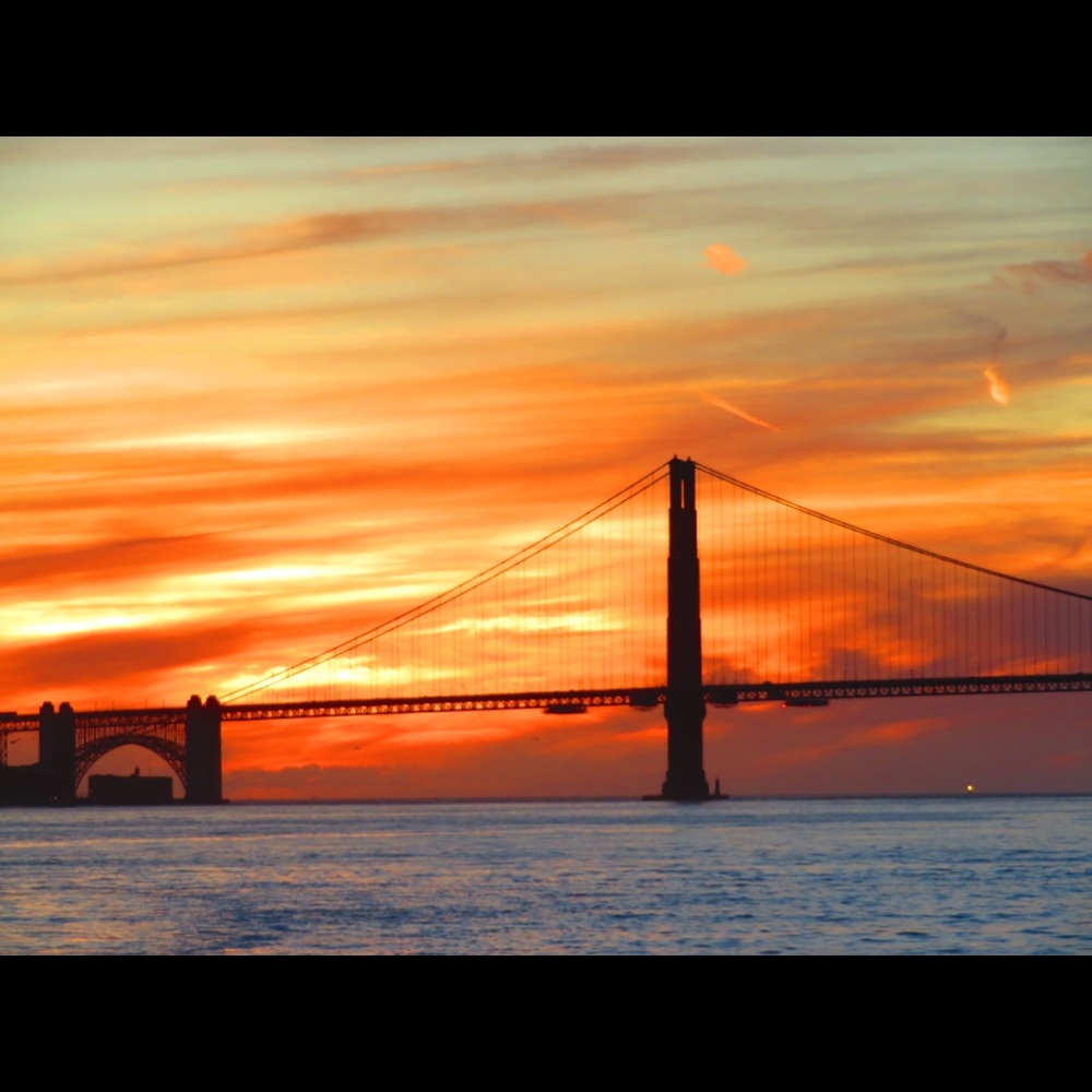 Meet your Posher, Joanne